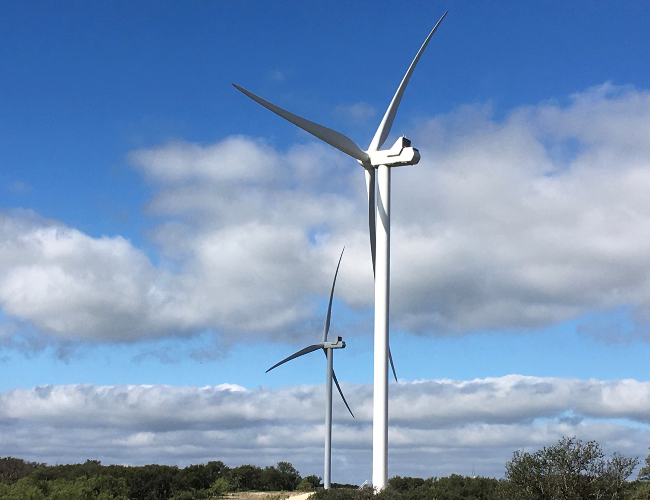Climate Action - Cactus Flats wind farm