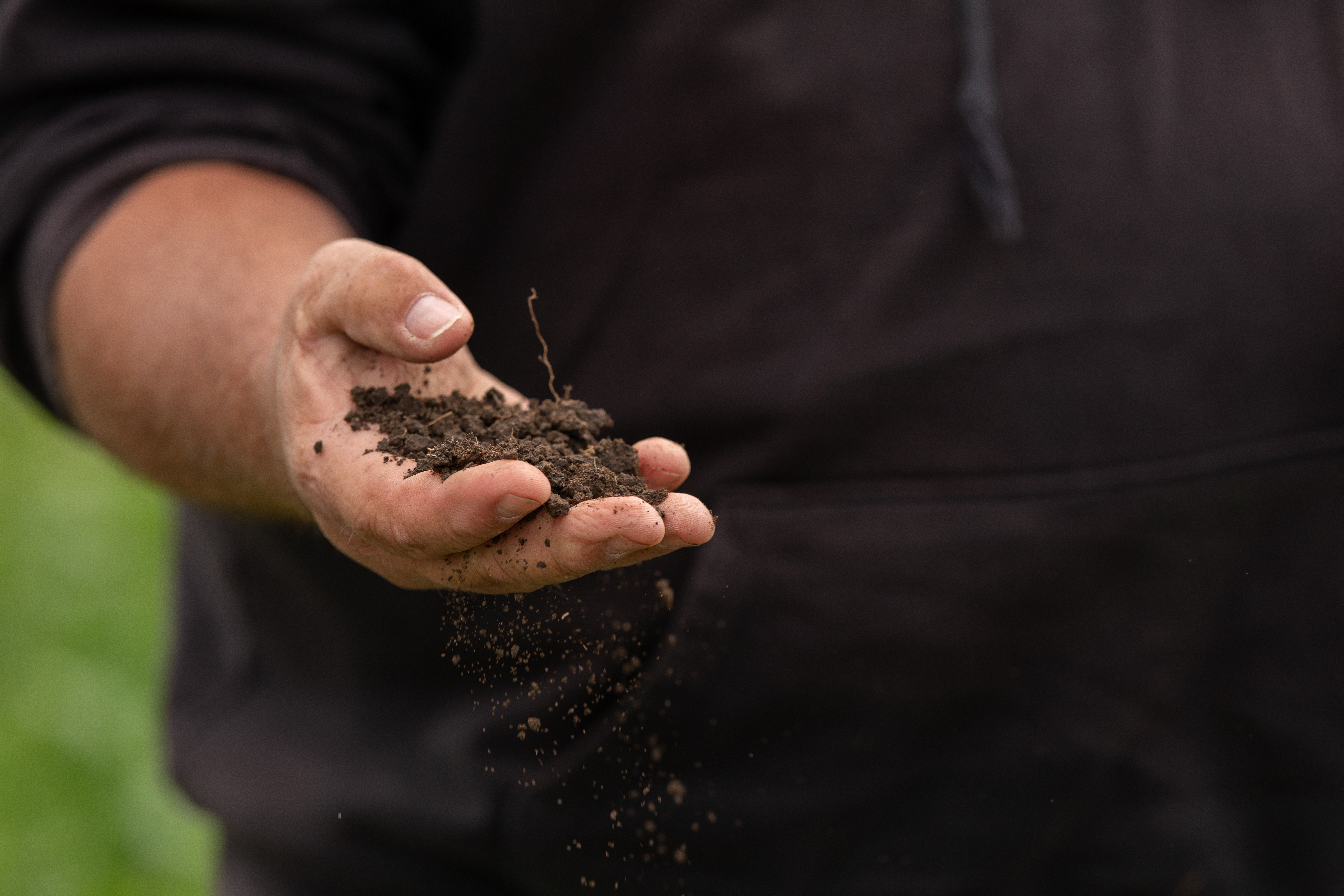 Soil in hand