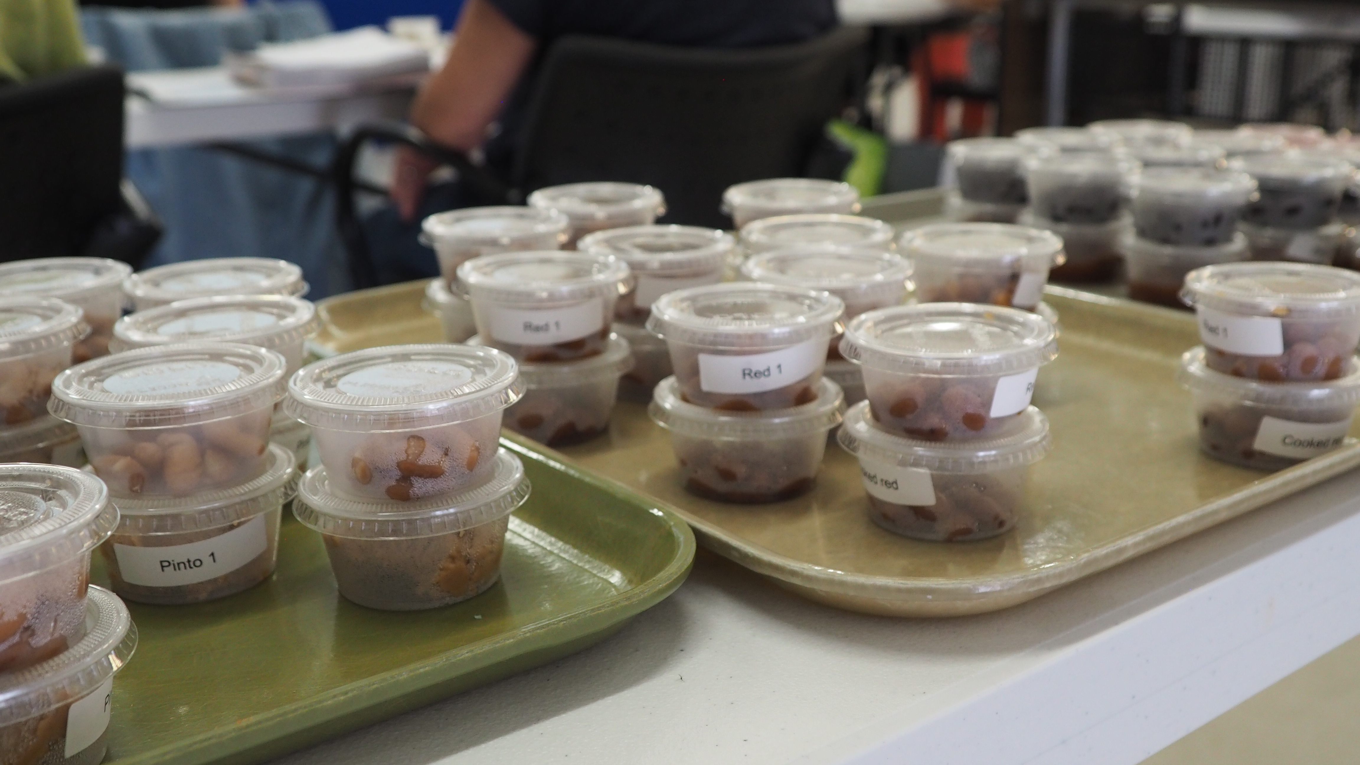 Samples of beans