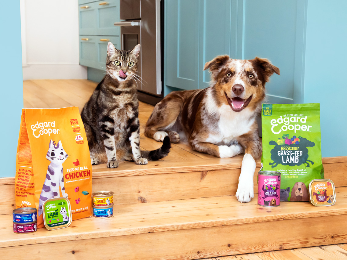 News on dog food shop