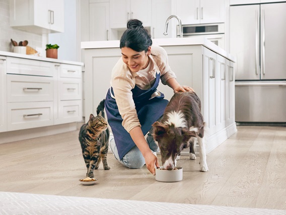 Pet parent feeding a dog and cat in their kitchen.